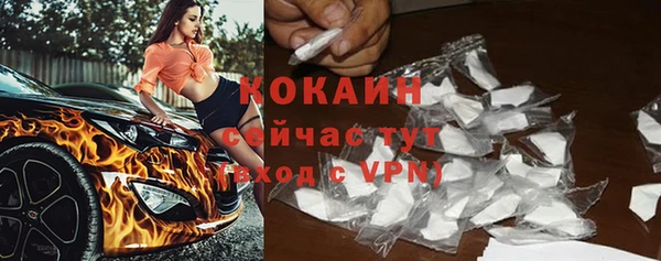 шишки Балабаново