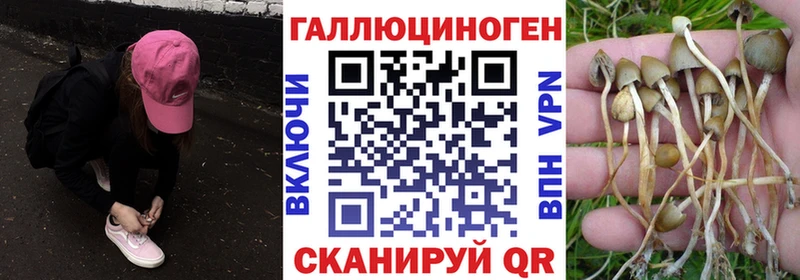 Псилоцибиновые грибы Cubensis  купить наркотик  Боровичи 