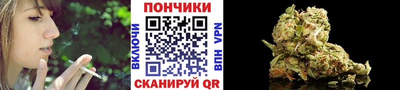 Бошки марихуана сатива  Боровичи 